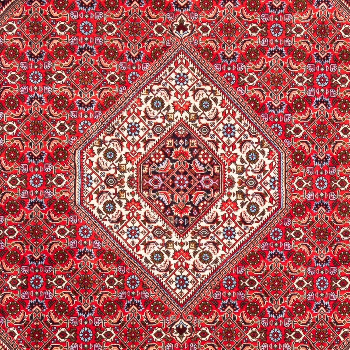 Alfombra persa - Bidjar - 253 x 170 cm - rojo