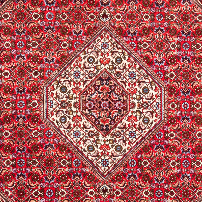 Alfombra persa - Bidjar - 253 x 170 cm - rojo