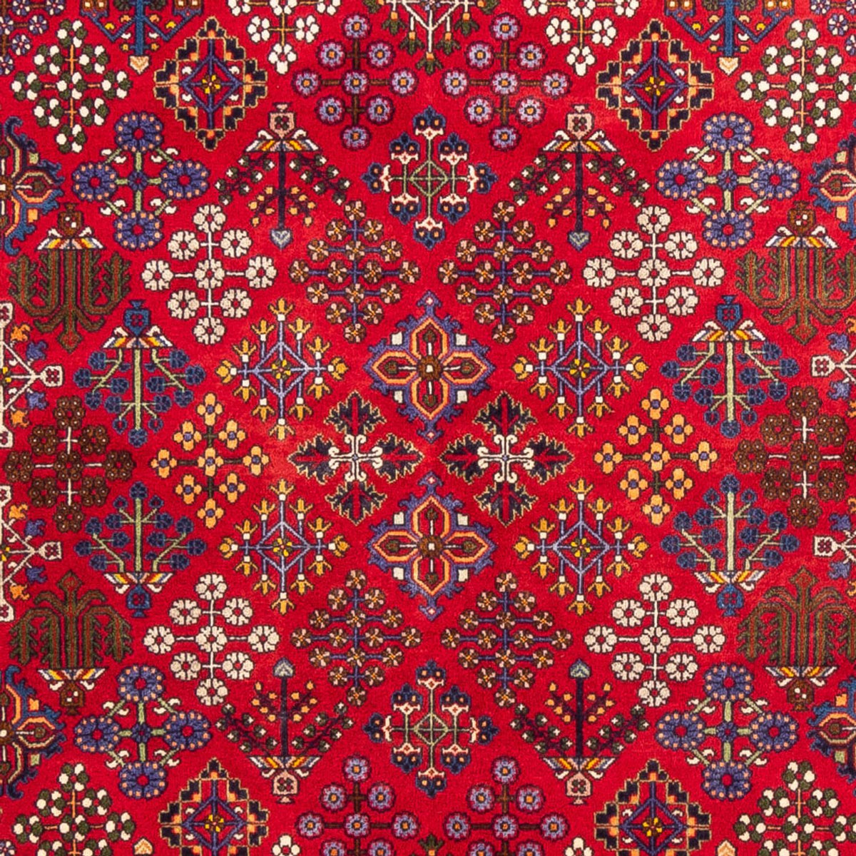 Alfombra persa - Clásica - 258 x 168 cm - rojo