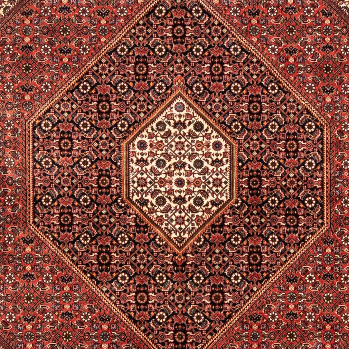 Alfombra persa - Bidjar - 235 x 170 cm - rojo