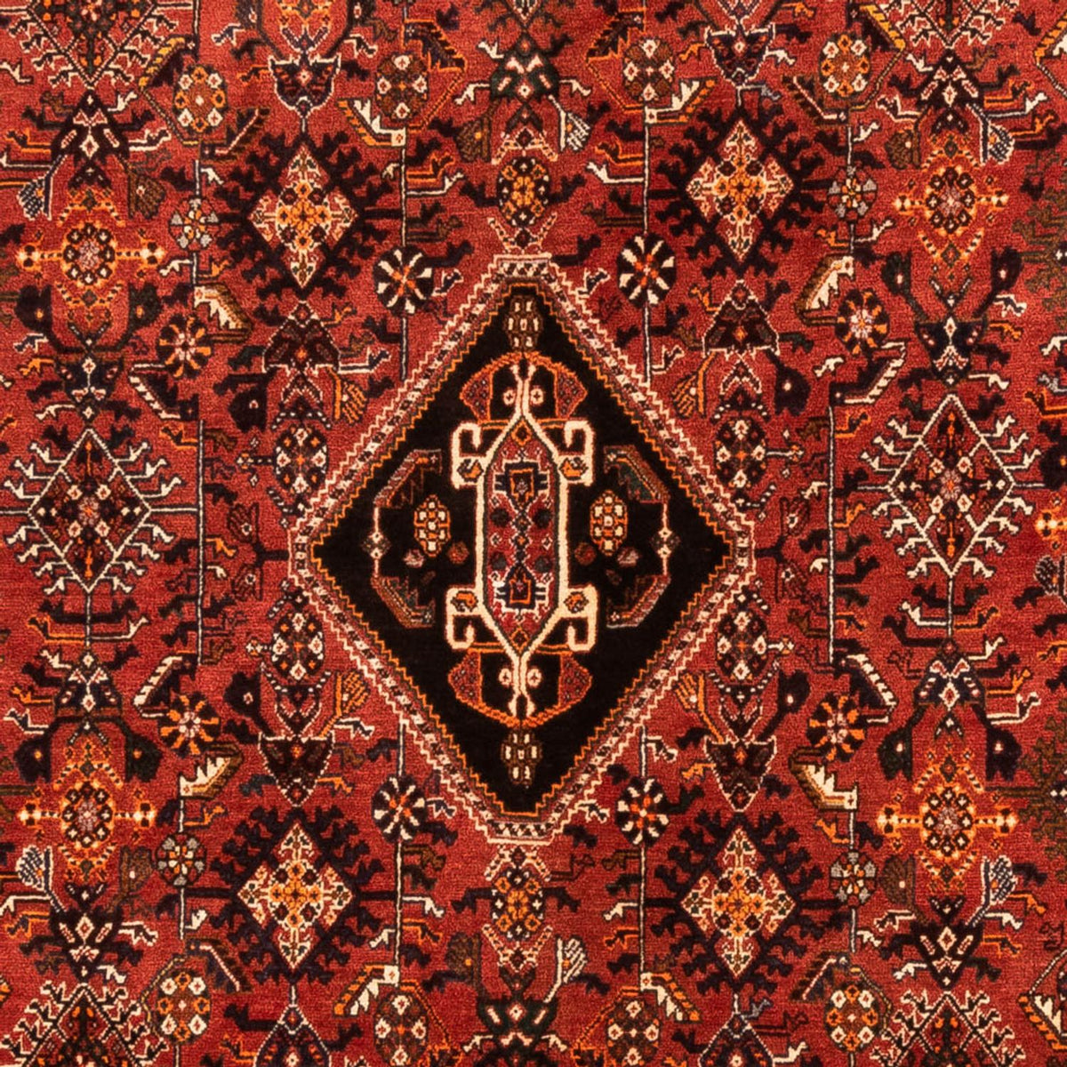Alfombra persa - Nómada - 252 x 167 cm - rojo