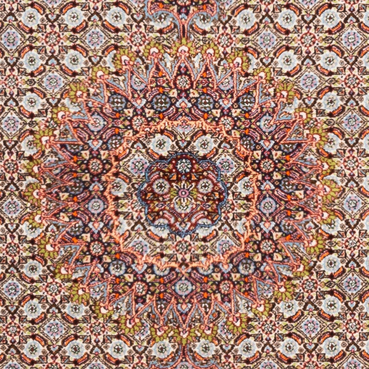 Alfombra persa - Clásica - 232 x 159 cm - crema