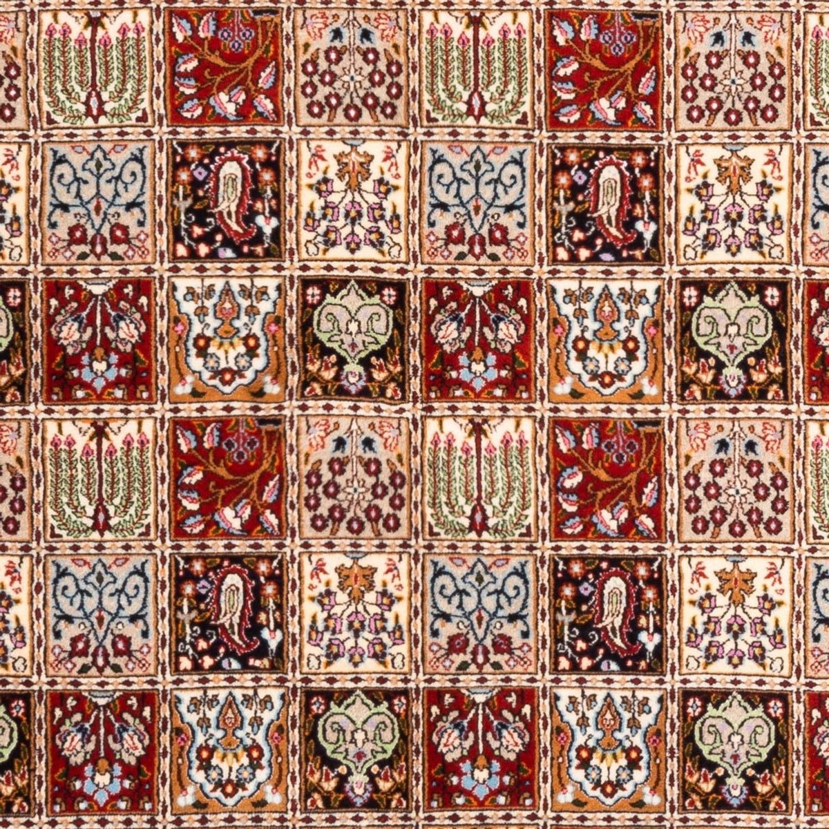 Alfombra persa - Clásica - 240 x 169 cm - multicolor