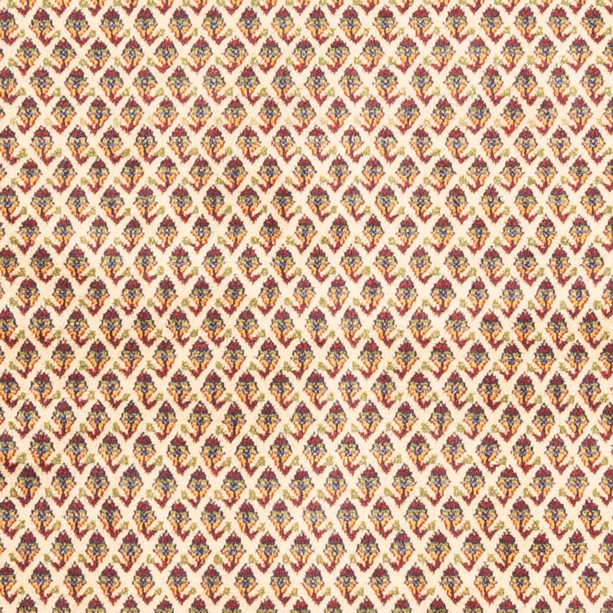 Alfombra persa - Mir - 254 x 213 cm - beige claro