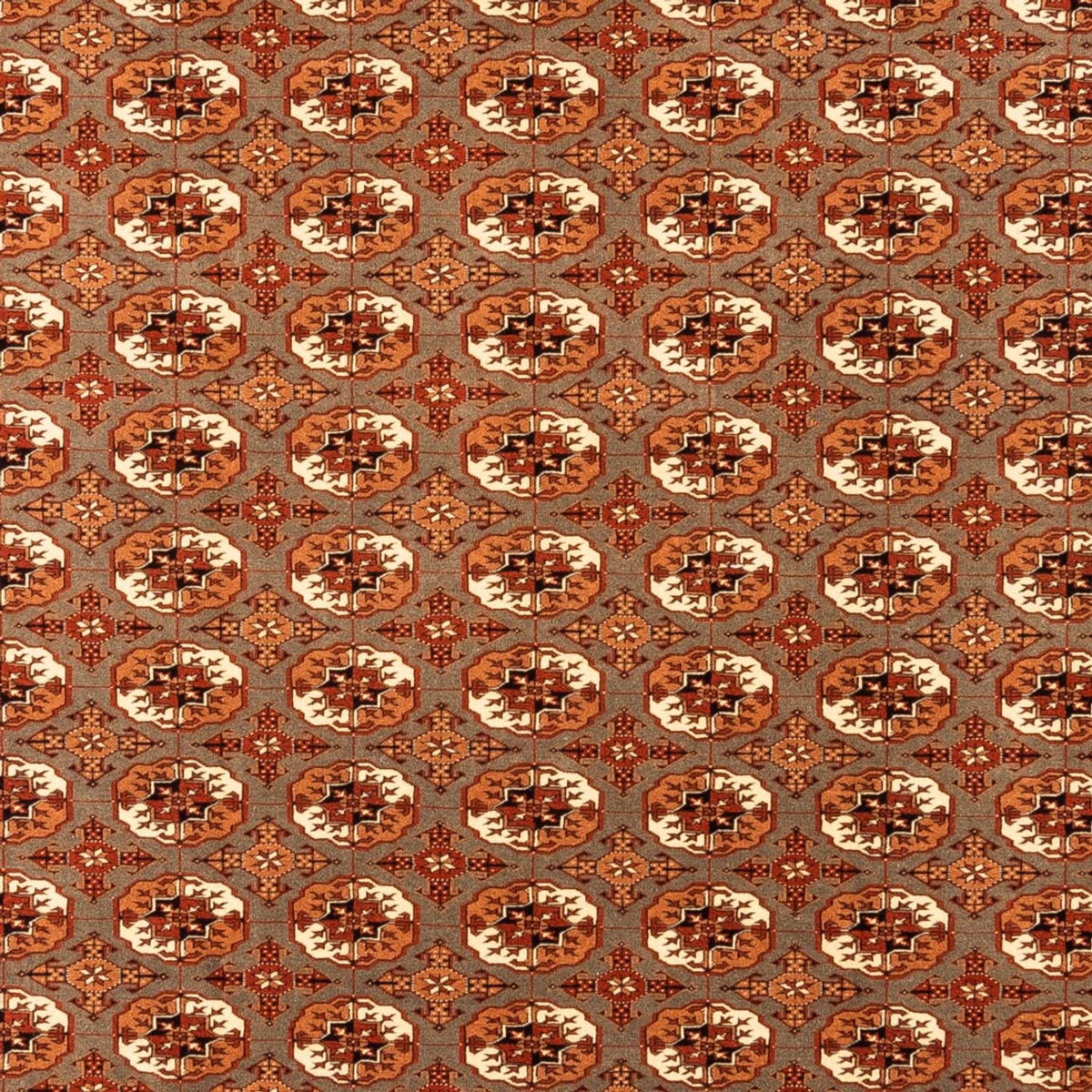 Alfombra Turkaman - 305 x 205 cm - beige oscuro