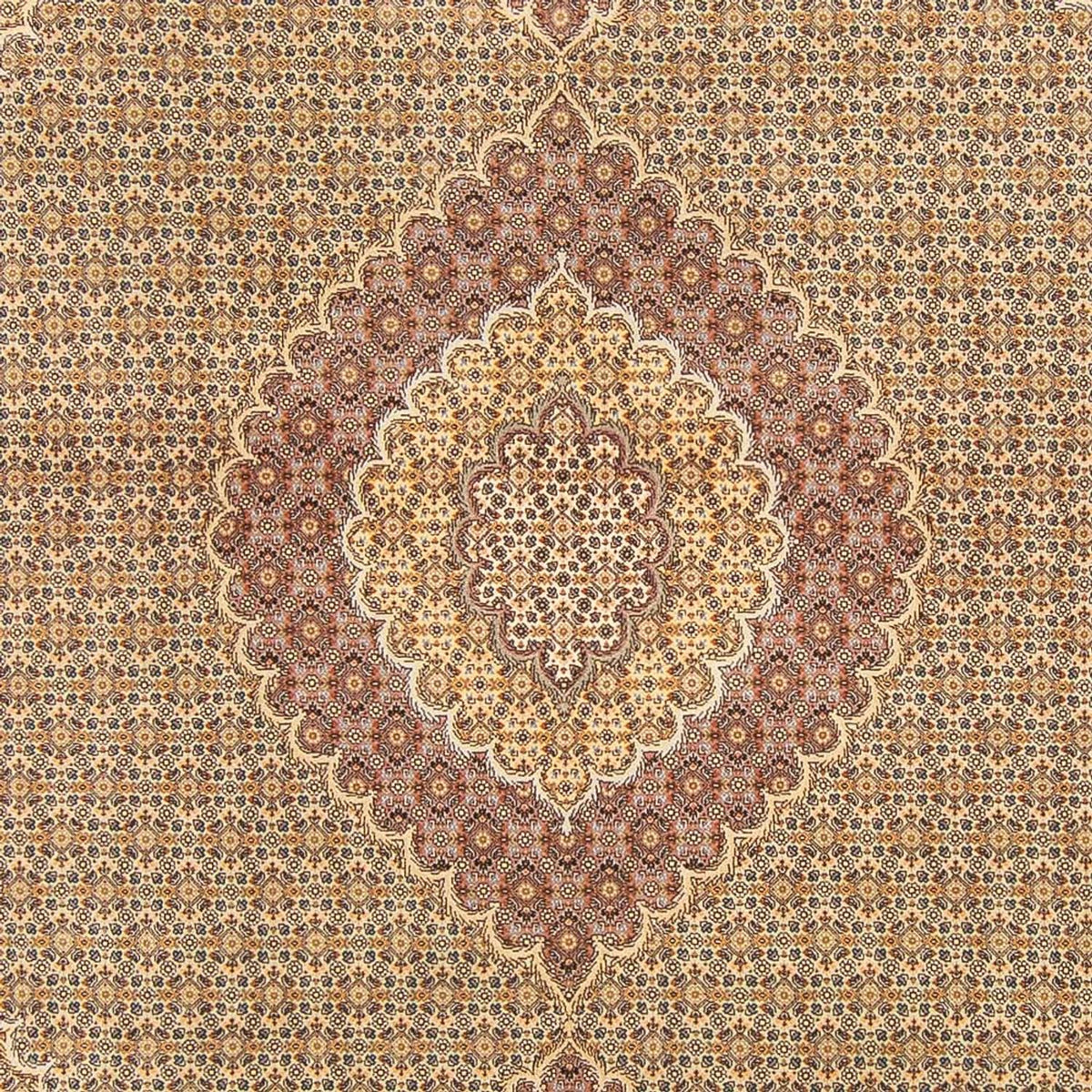 Alfombra Persa - Tabriz - Real - 300 x 200 cm - arena