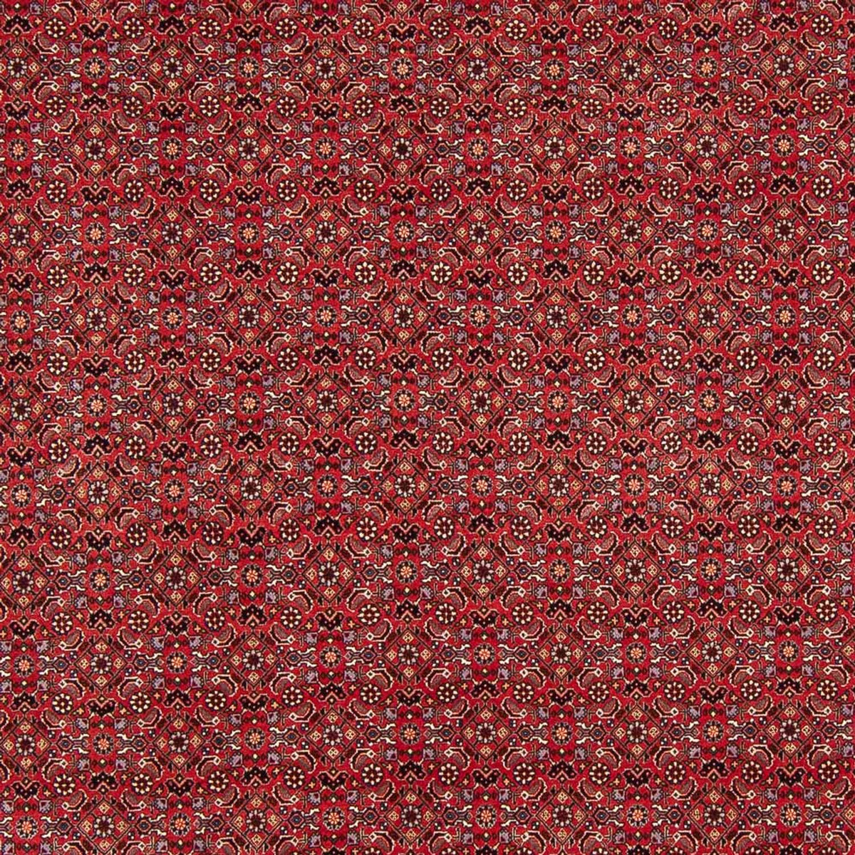 Alfombra persa - Bidjar - Real - 272 x 217 cm - rojo oscuro