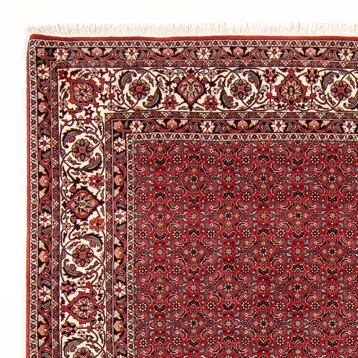 Alfombra persa - Bidjar - Real - 272 x 217 cm - rojo oscuro