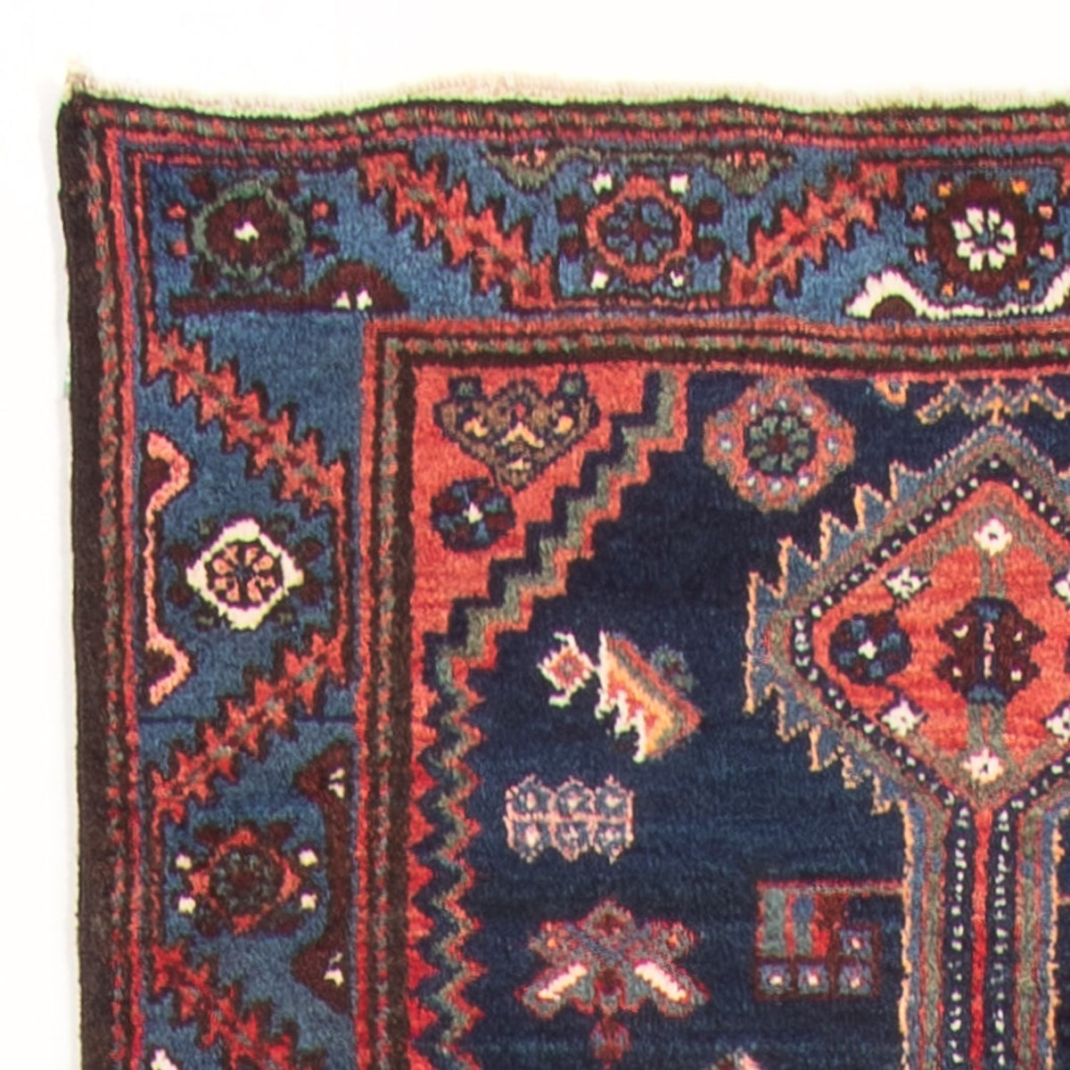 Alfombra de pasillo Alfombra persa - Nómada - 515 x 105 cm - azul oscuro