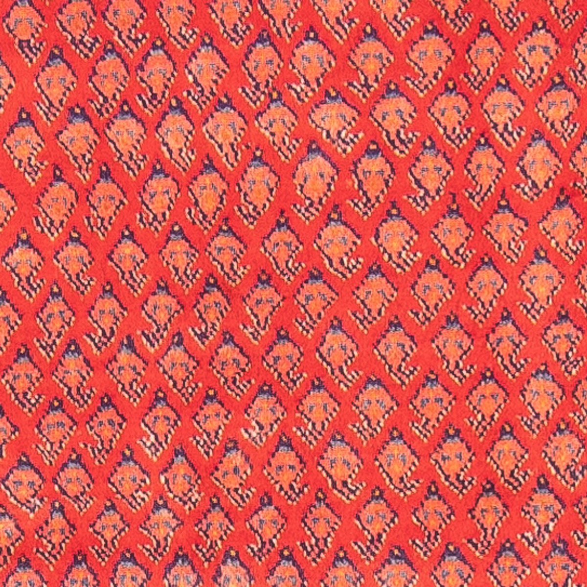 Alfombra de pasillo Alfombra persa - Nómada - 323 x 108 cm - rojo