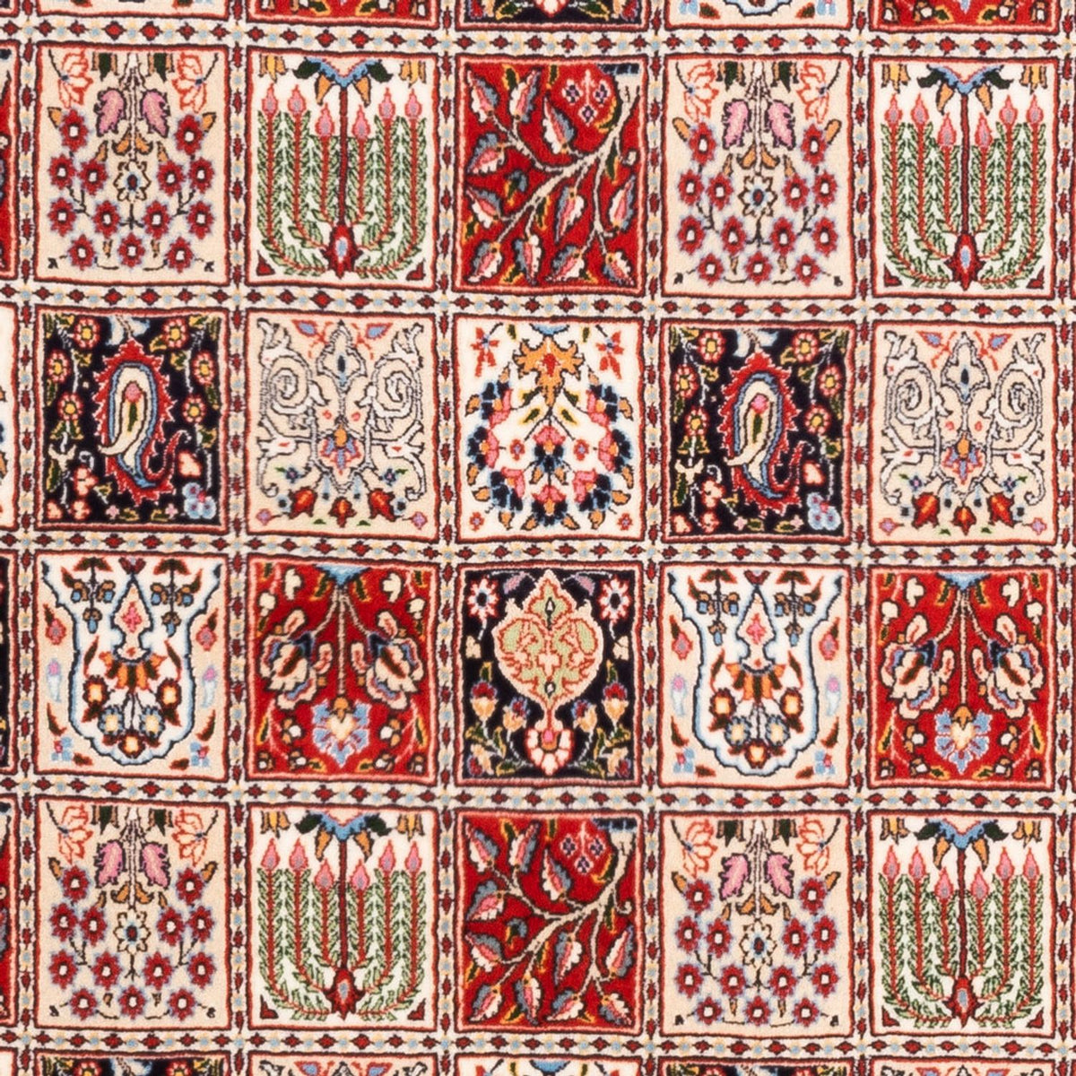 Alfombra persa - Clásica - 245 x 167 cm - multicolor