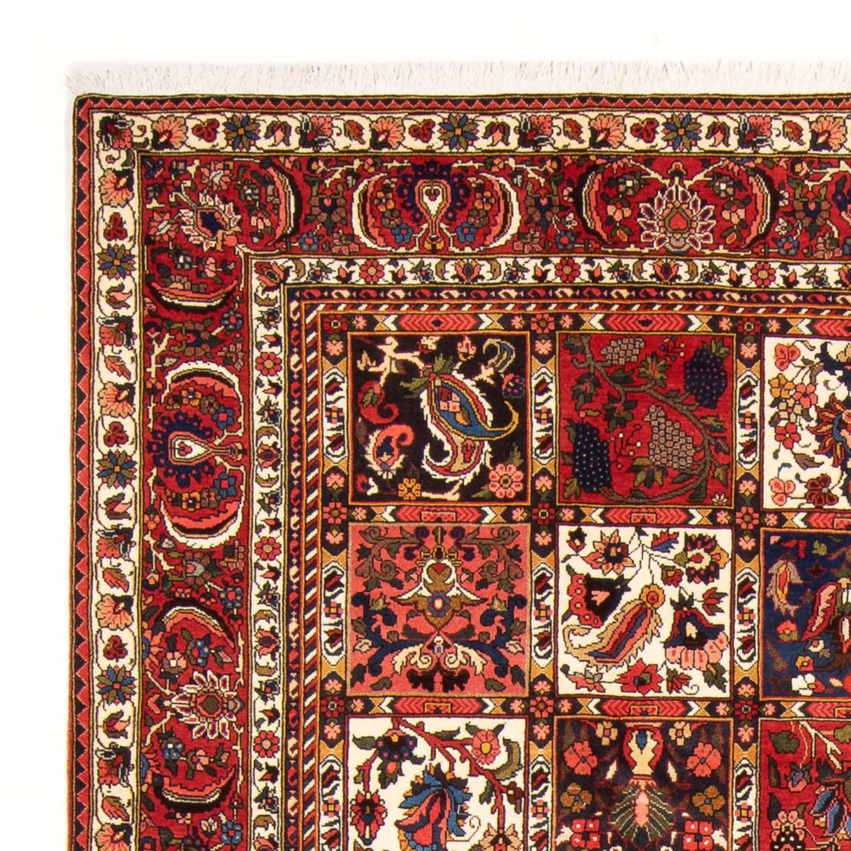 Alfombra persa - Nómada - 314 x 210 cm - rojo oscuro