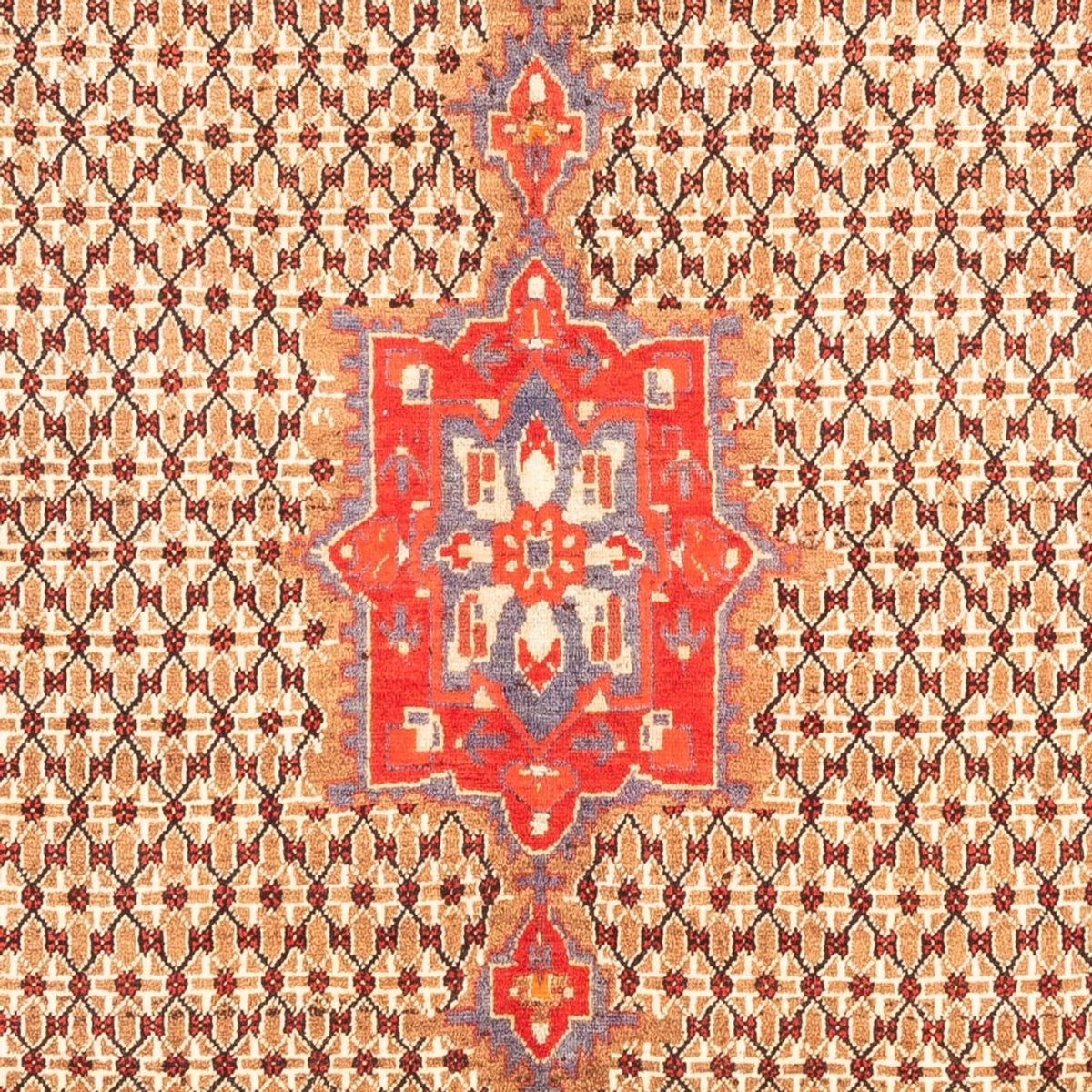 Alfombra persa - Nómada - 313 x 170 cm - rojo