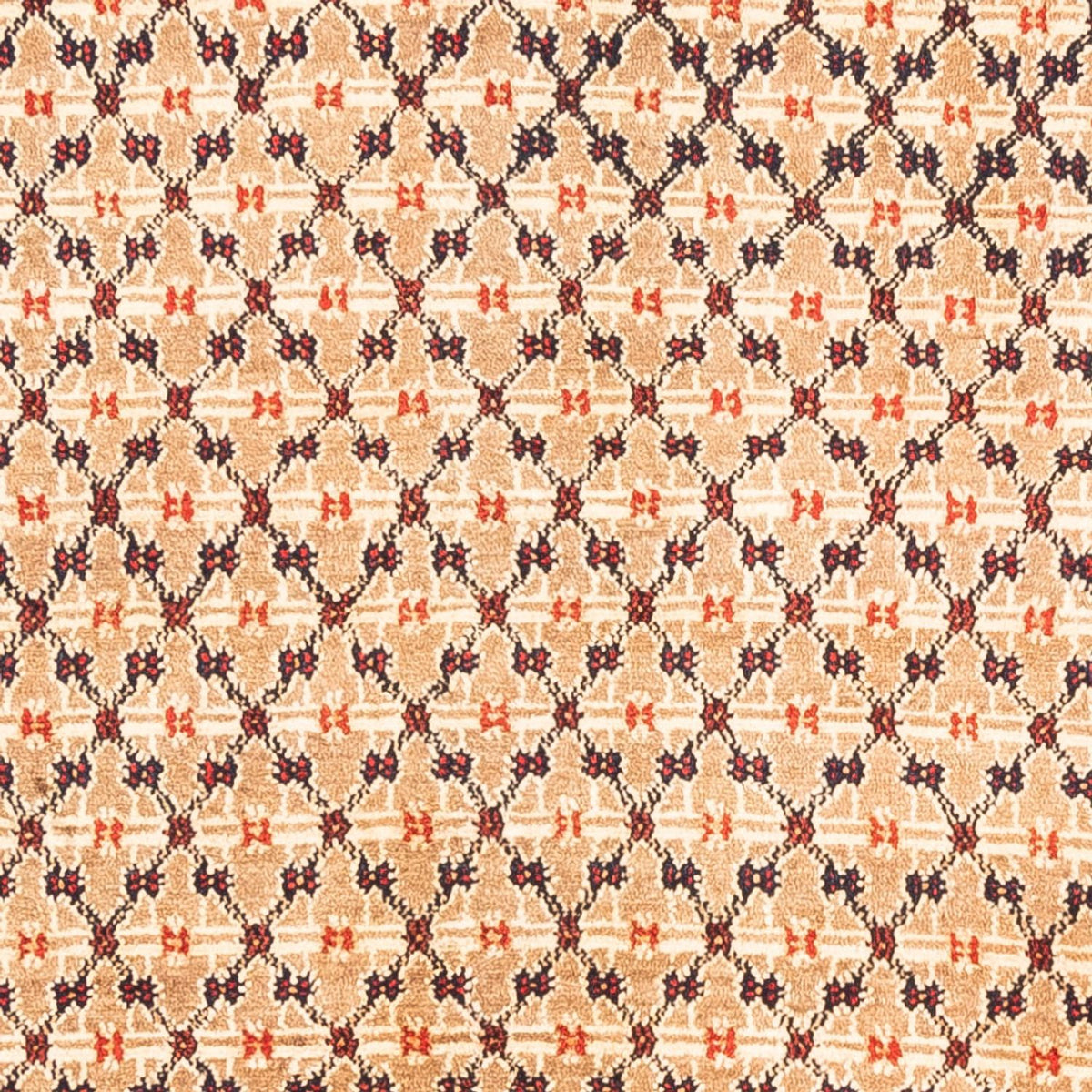 Alfombra persa - Nómada - 273 x 153 cm - crema