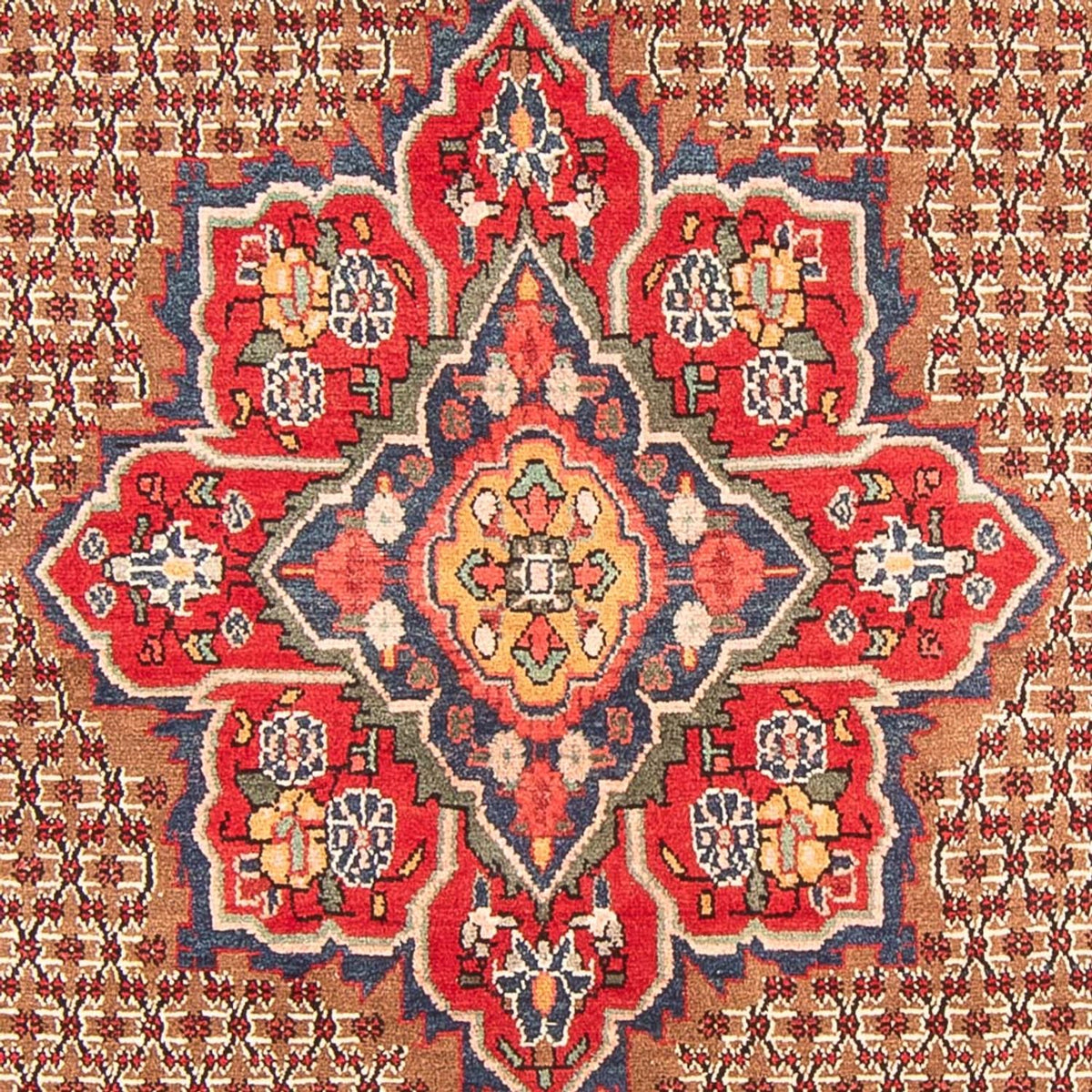 Alfombra persa - Nómada - 285 x 155 cm - multicolor