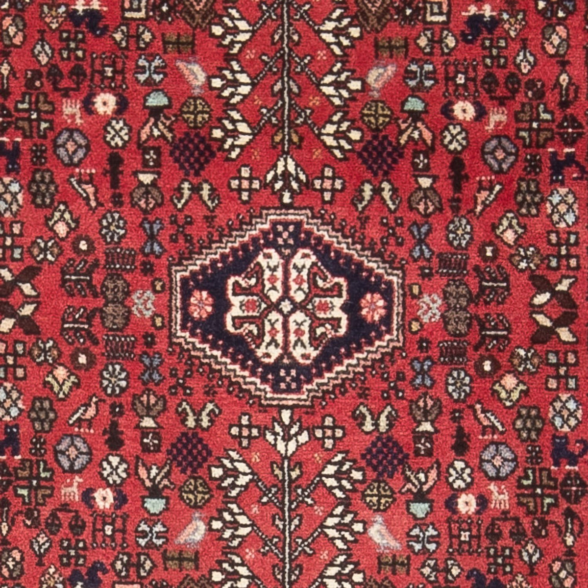 Alfombra de pasillo Alfombra persa - Nómada - 156 x 63 cm - rojo