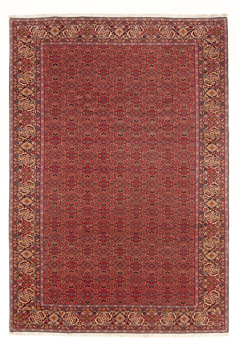Alfombra persa - Bidjar - 296 x 197 cm - rojo