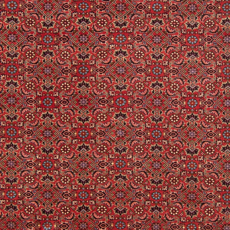 Alfombra persa - Bidjar - 296 x 197 cm - rojo