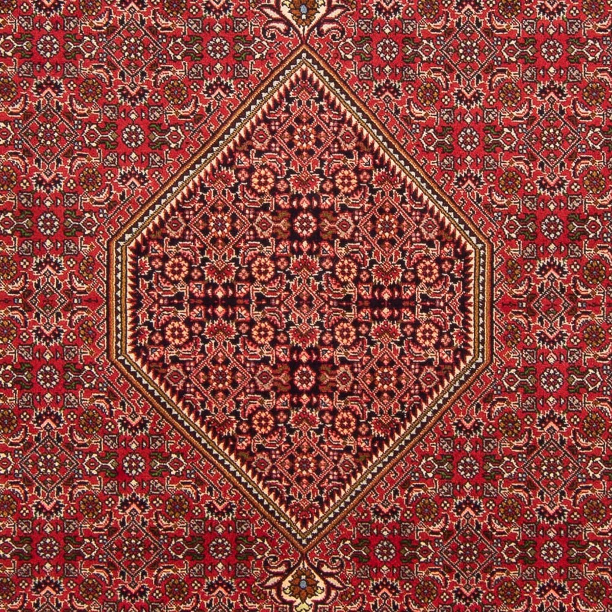 Alfombra persa - Bidjar - 290 x 192 cm - rojo