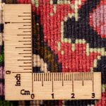 Alfombra persa - Bidjar - 300 x 200 cm - rojo