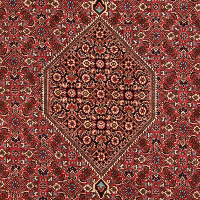 Alfombra persa - Bidjar - 293 x 200 cm - rojo