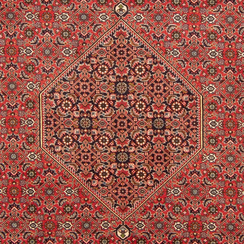 Alfombra persa - Bidjar - 298 x 197 cm - rojo
