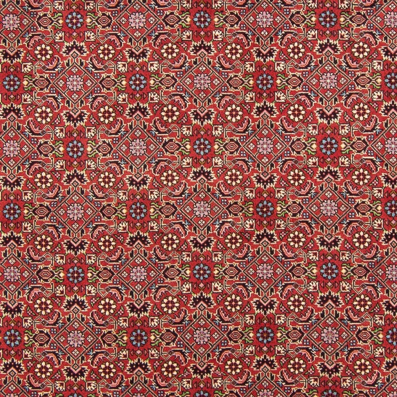 Alfombra persa - Bidjar - 290 x 198 cm - rojo