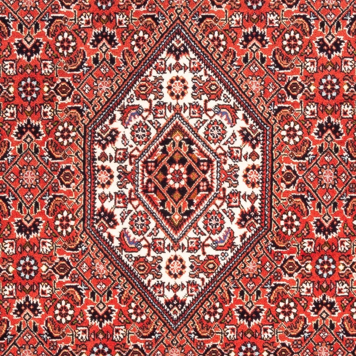 Alfombra persa - Bidjar - 176 x 108 cm - rojo