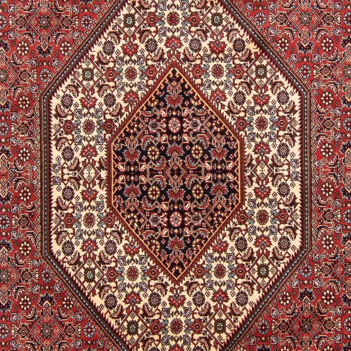 Alfombra persa - Bidjar - 305 x 198 cm - rojo