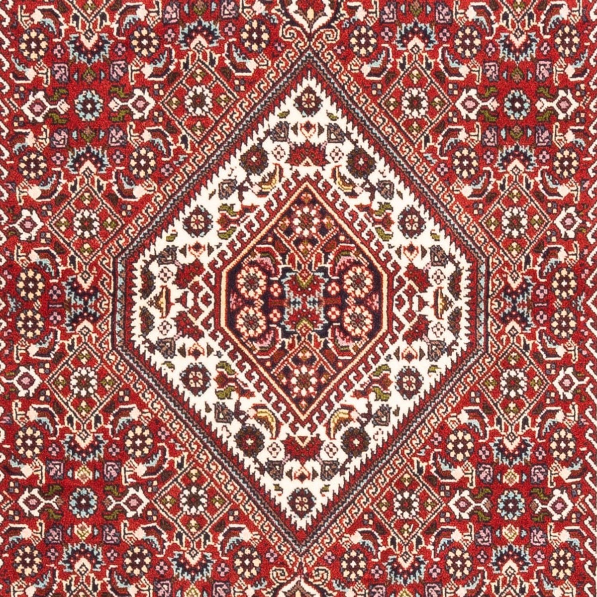 Alfombra persa - Bidjar - 174 x 107 cm - rojo