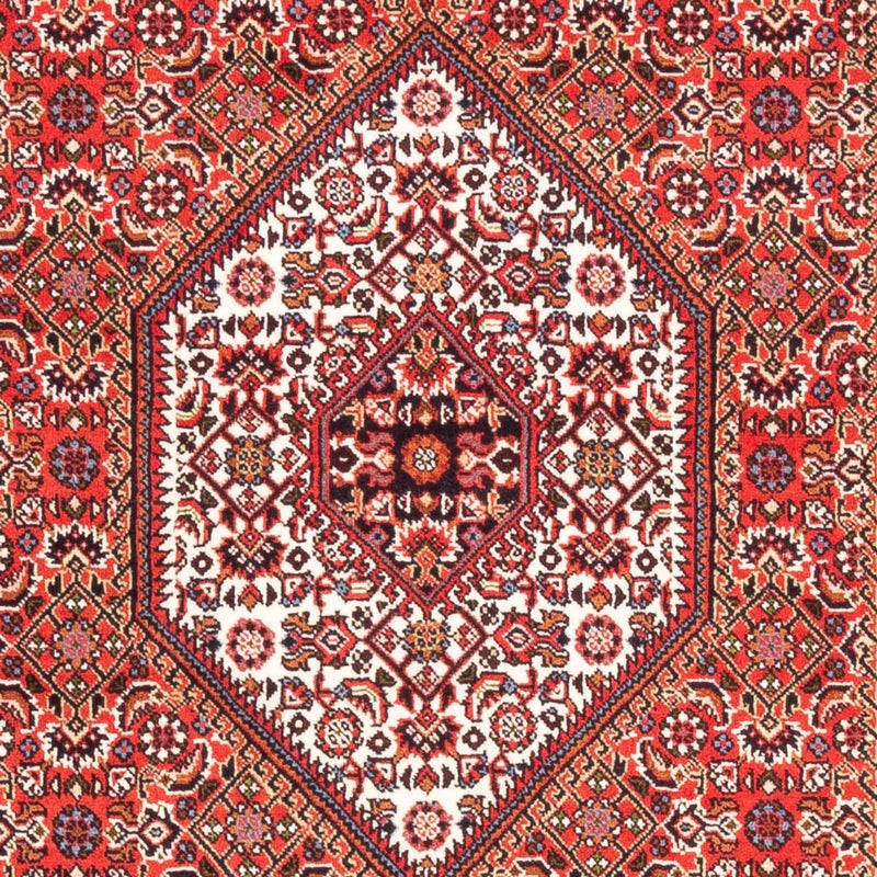 Alfombra persa - Bidjar - 183 x 110 cm - rojo