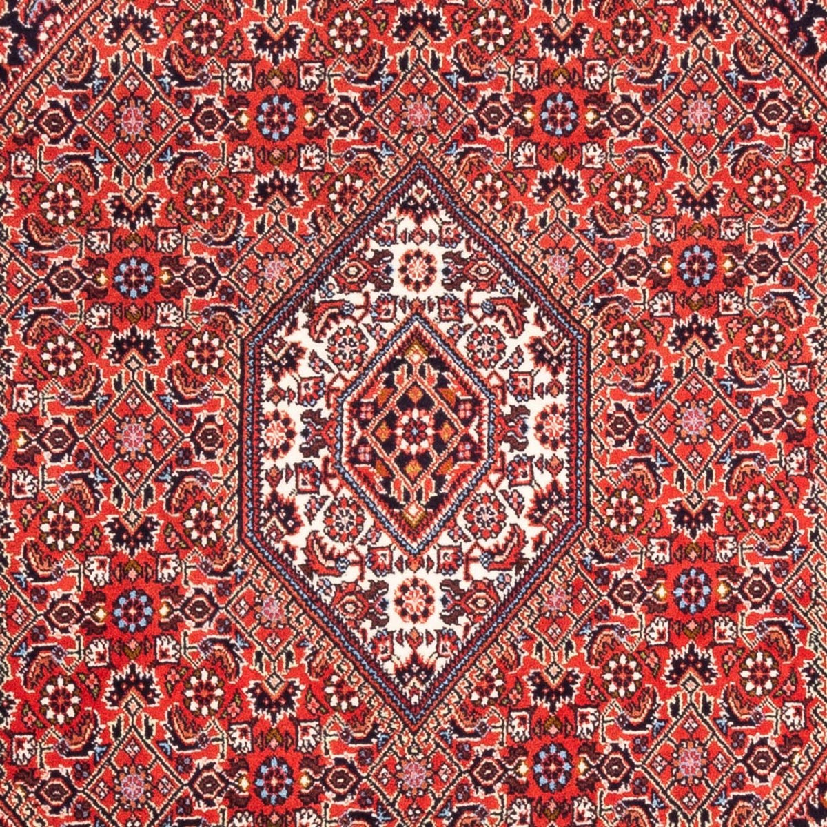 Alfombra persa - Bidjar - 180 x 108 cm - rojo