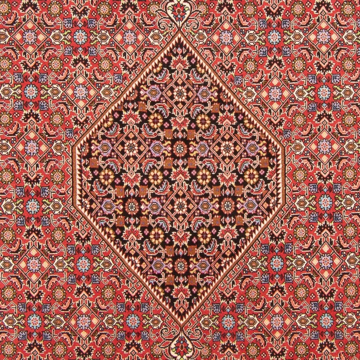 Alfombra persa - Bidjar - 294 x 200 cm - rojo