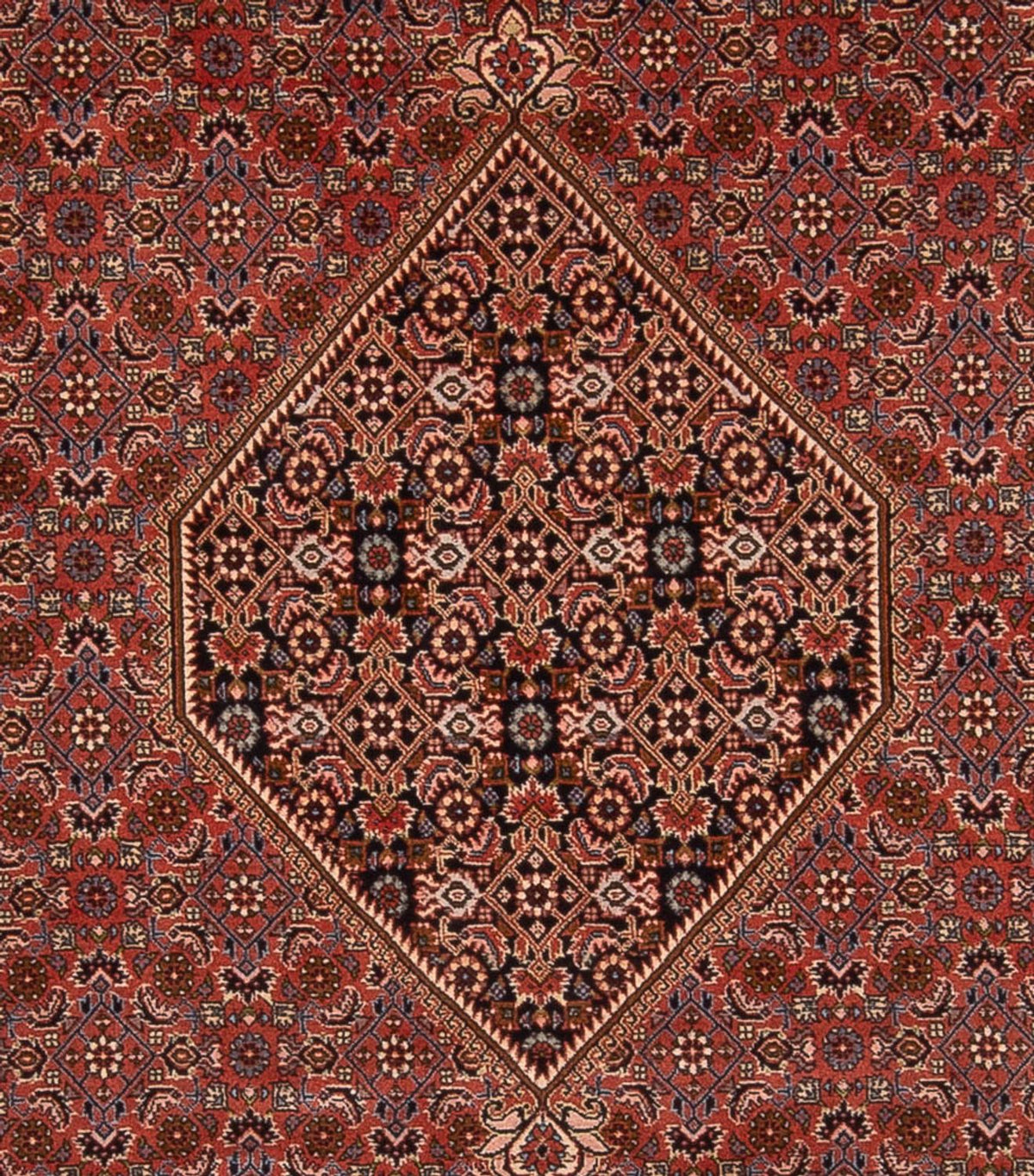 Alfombra persa - Bidjar - 344 x 250 cm - óxido