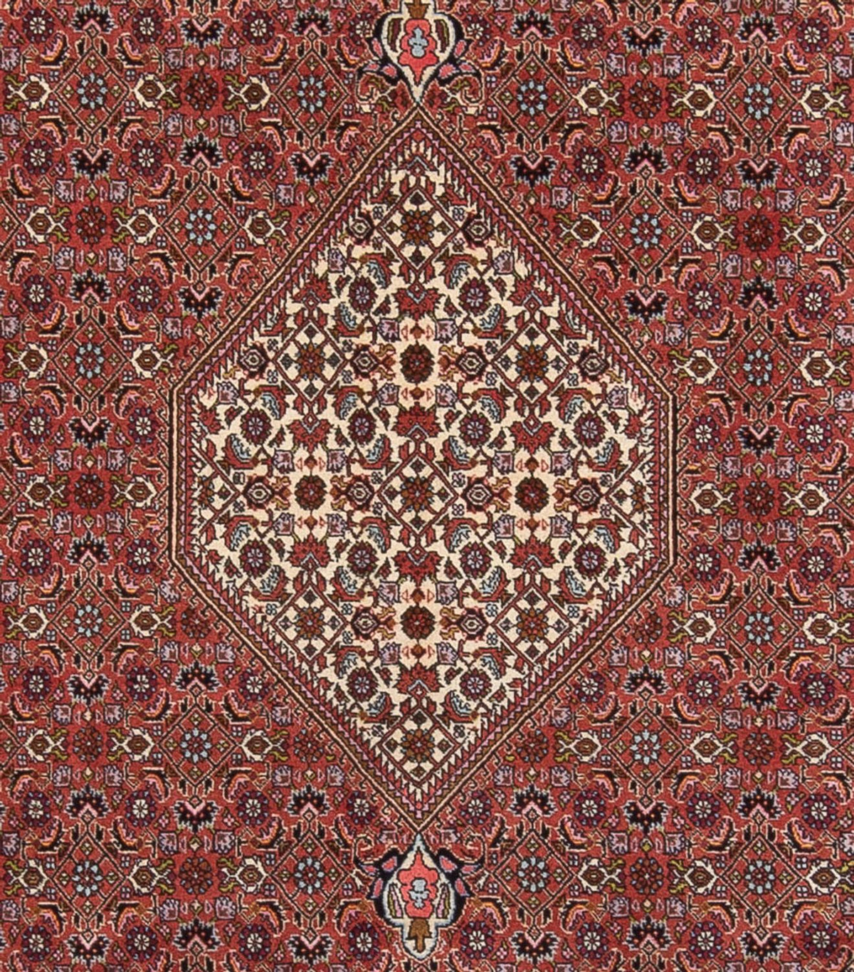 Alfombra persa - Bidjar - 343 x 247 cm - óxido