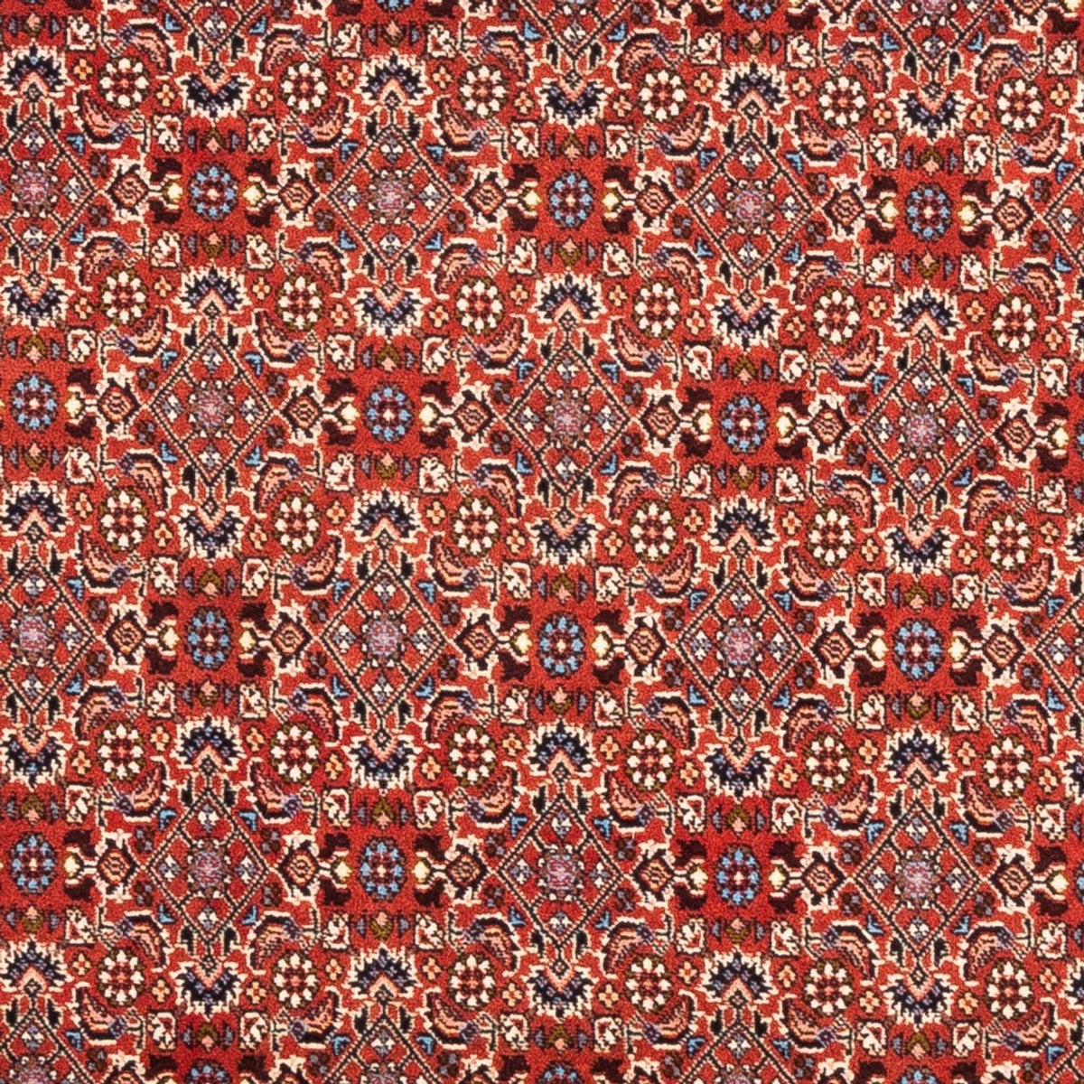Alfombra persa - Bidjar - 180 x 110 cm - rojo