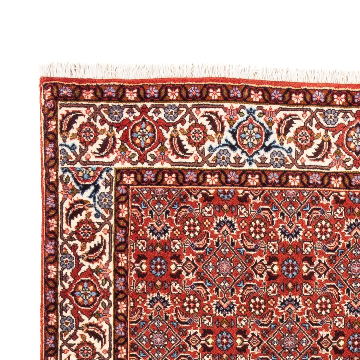 Alfombra persa - Bidjar - 180 x 110 cm - rojo