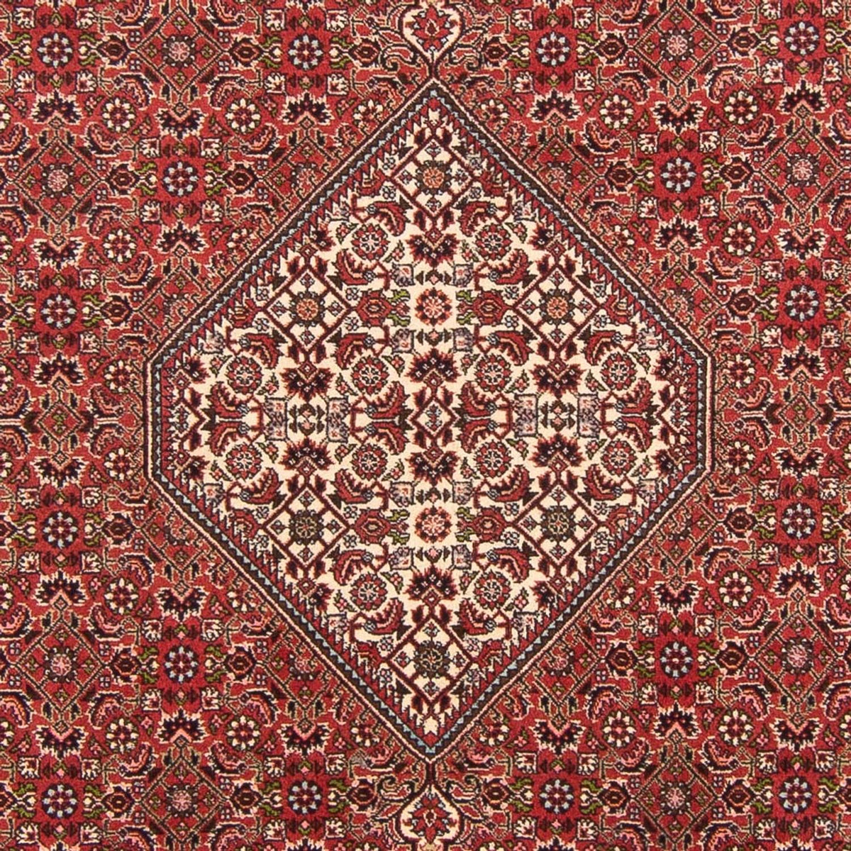 Alfombra persa - Bidjar - 290 x 202 cm - rojo