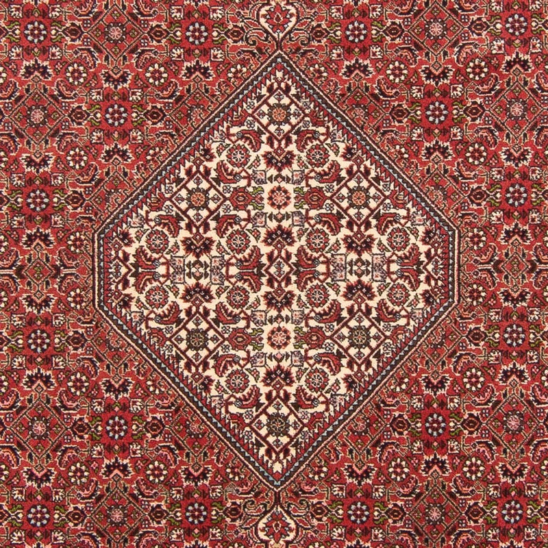Alfombra persa - Bidjar - 290 x 202 cm - rojo
