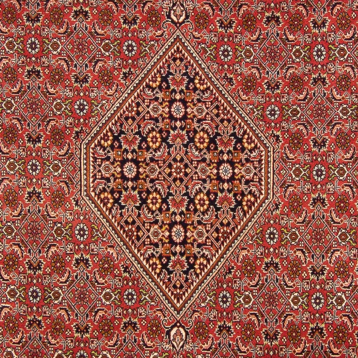 Alfombra persa - Bidjar - 290 x 200 cm - rojo