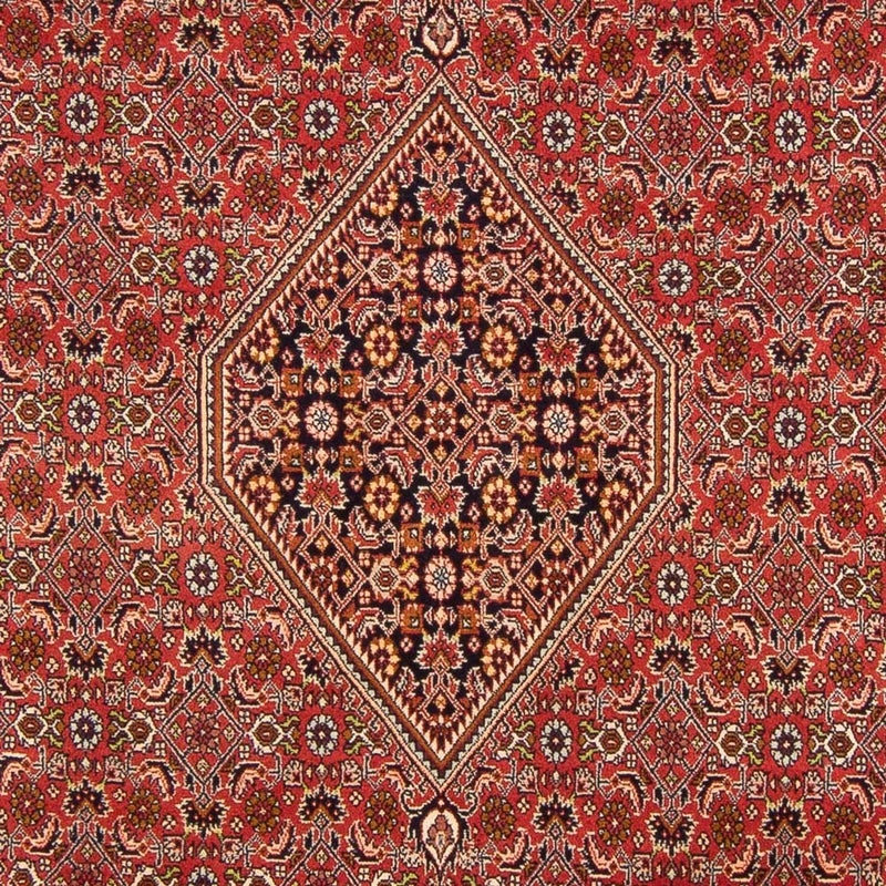 Alfombra persa - Bidjar - 290 x 200 cm - rojo