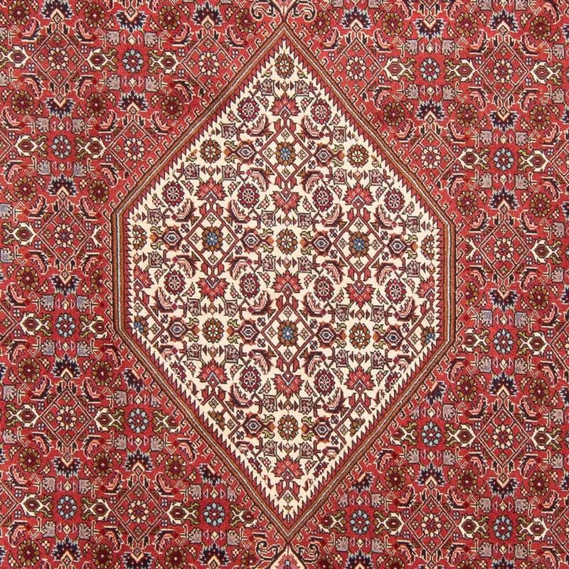 Alfombra persa - Bidjar - 310 x 203 cm - rojo