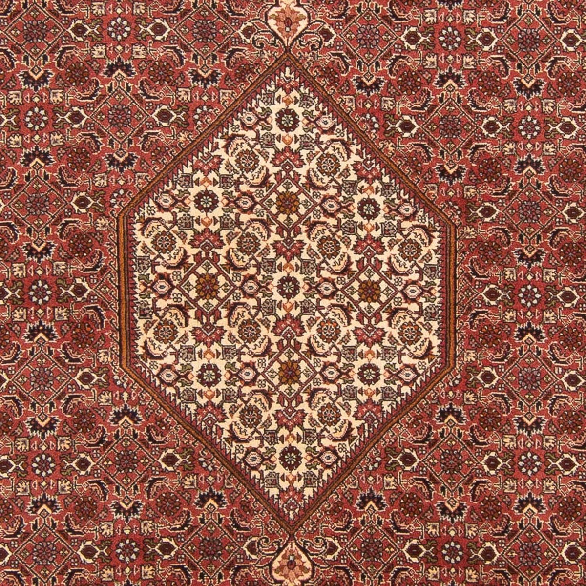 Alfombra persa - Bidjar - 292 x 200 cm - rojo