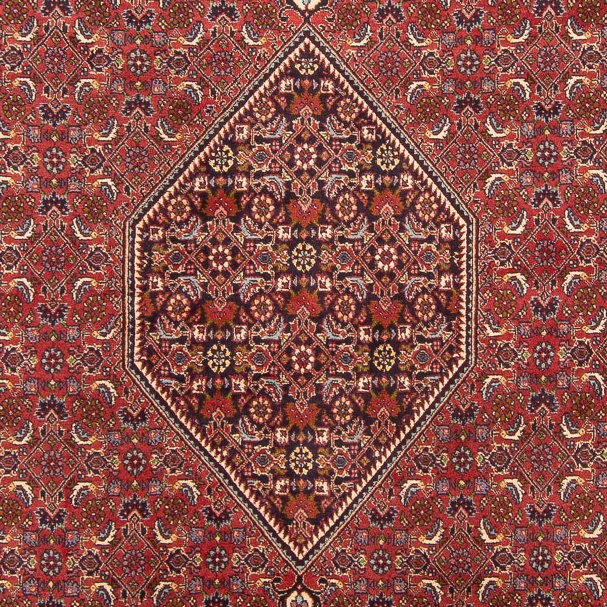 Alfombra persa - Bidjar - 301 x 200 cm - rojo