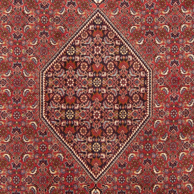 Alfombra persa - Bidjar - 301 x 200 cm - rojo
