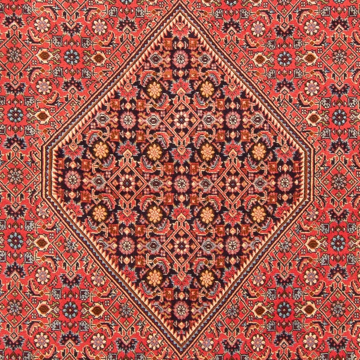 Alfombra persa - Bidjar - 260 x 200 cm - rojo