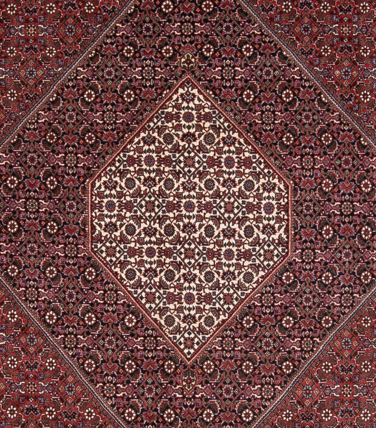 Alfombra persa - Bidjar - 370 x 253 cm - óxido