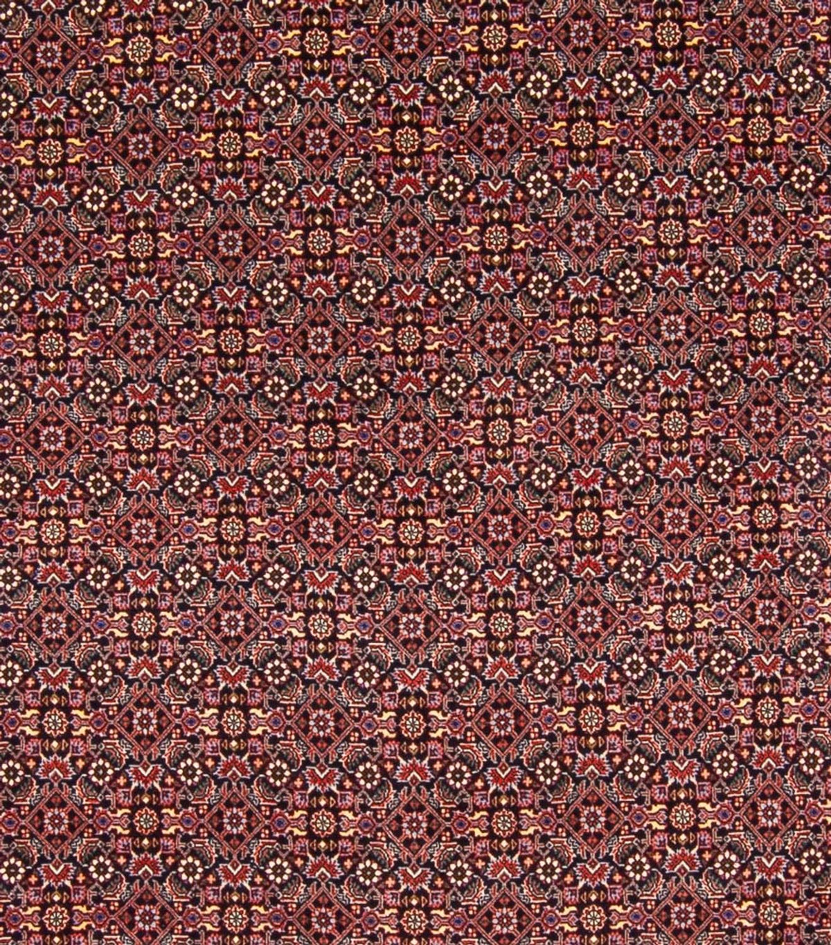 Alfombra persa - Bidjar - 337 x 260 cm - azul oscuro