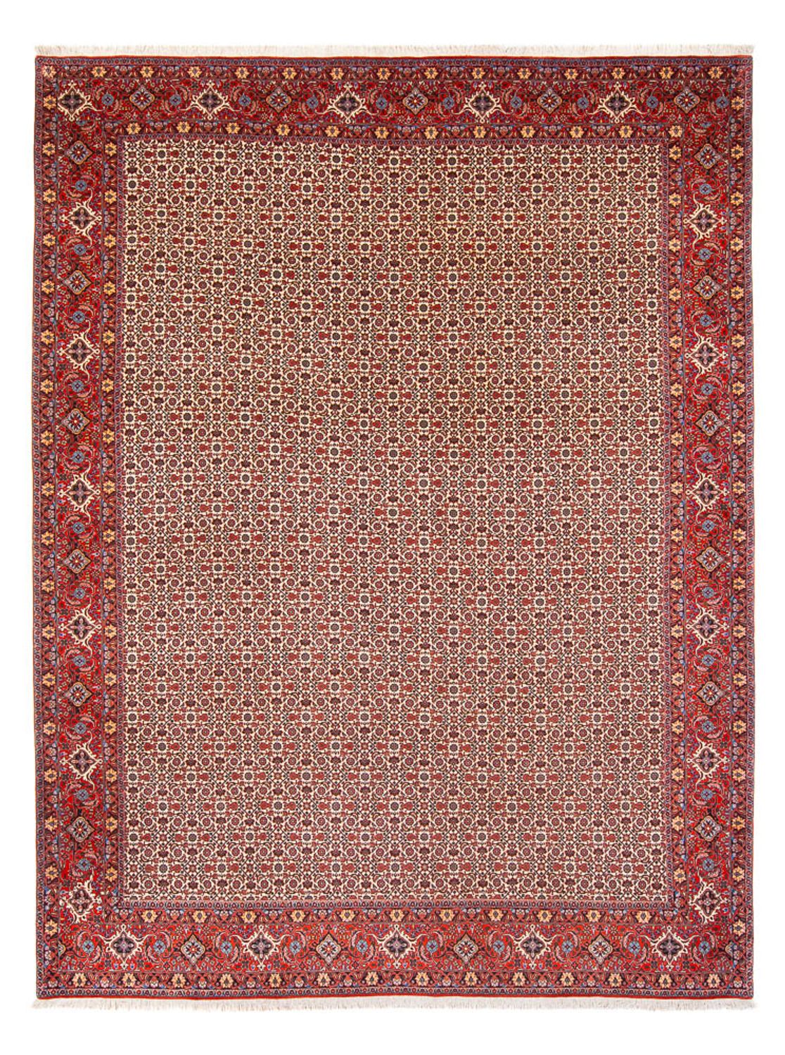Alfombra persa - Bidjar - 343 x 260 cm - crema
