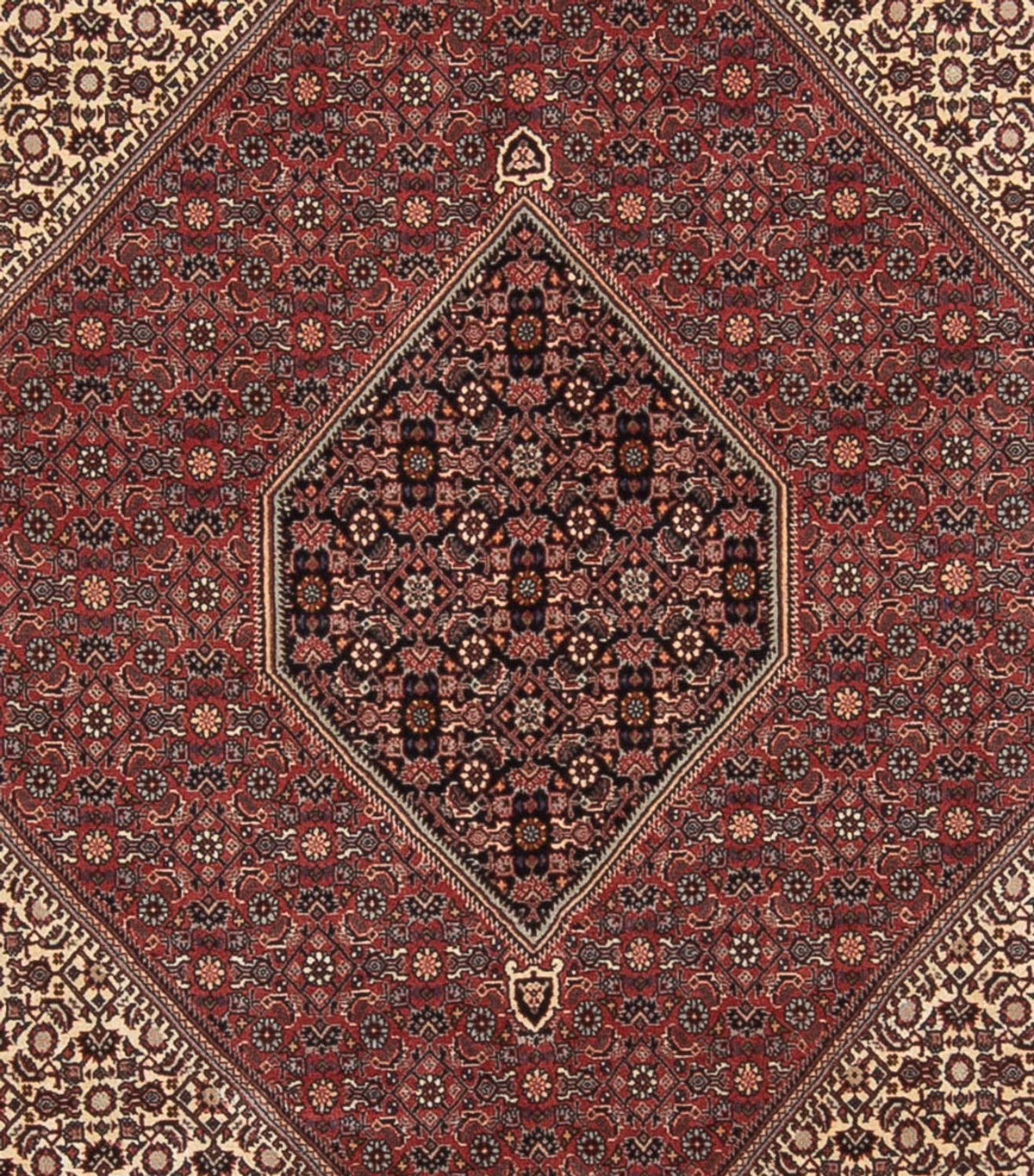Alfombra persa - Bidjar - 345 x 250 cm - rojo oscuro